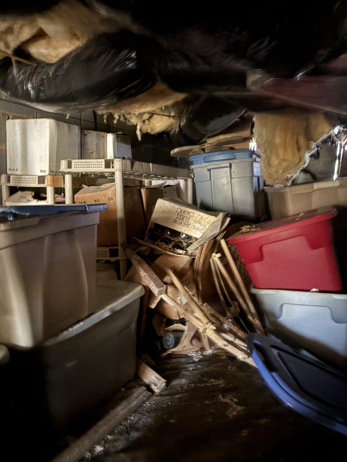 Basement Cleanout Charlottesville VA — Albemarle Moving