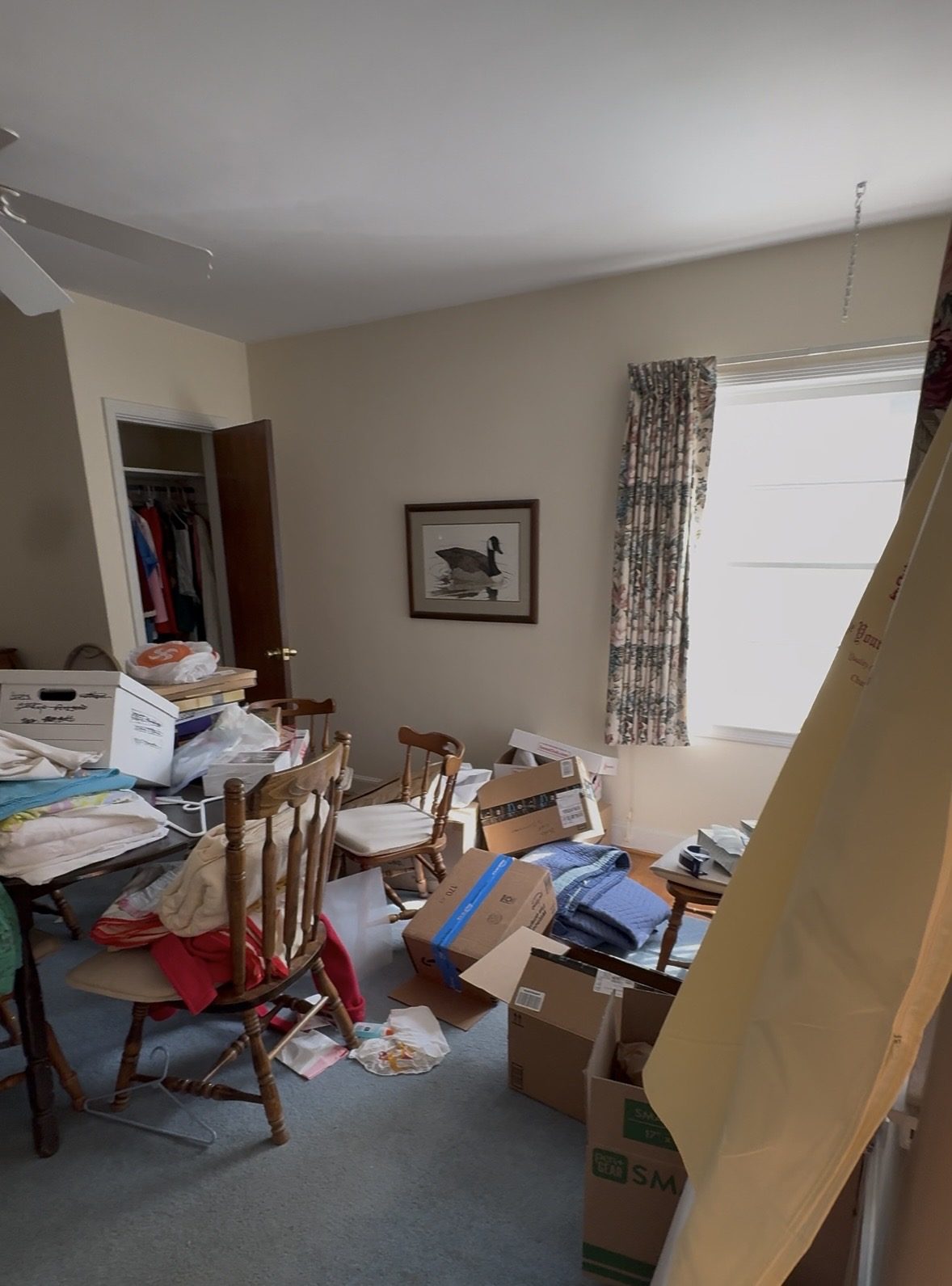 Estate cleanout in progress in Belmont Charlottesville VA