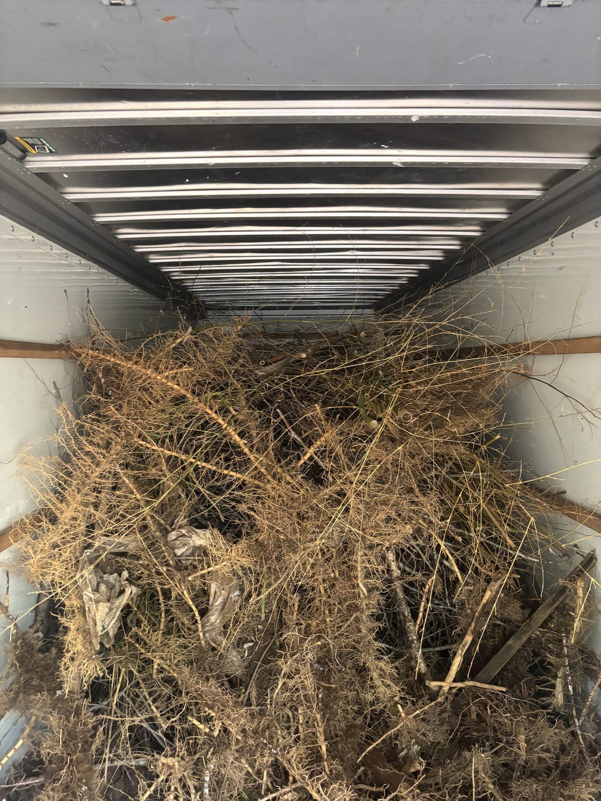 Yard Debris Removal Charlottesville VA — Albemarle Moving